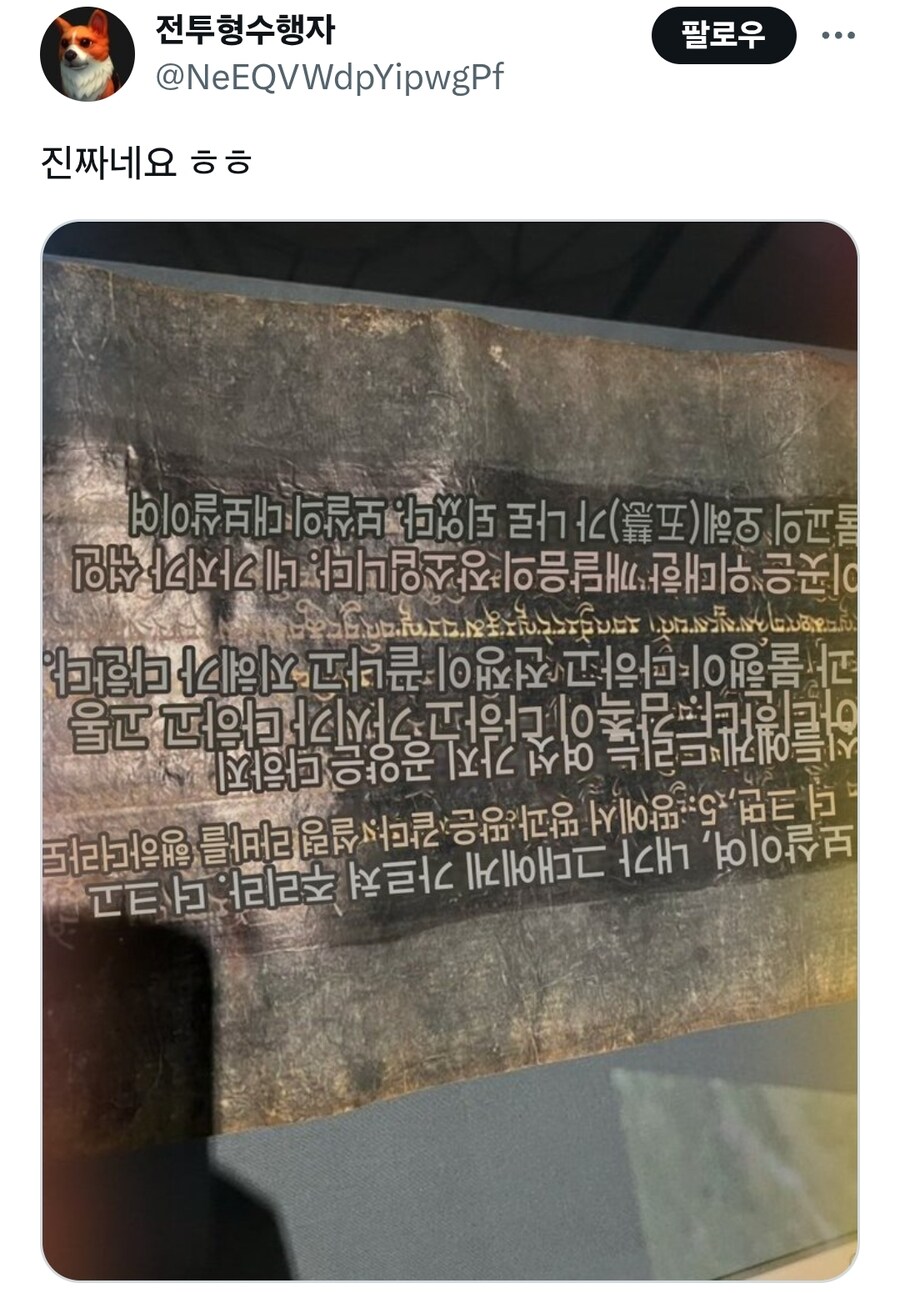 박물관에 진열된 물건이 거꾸로 진열된걸 발견한 오타쿠_2.jpg