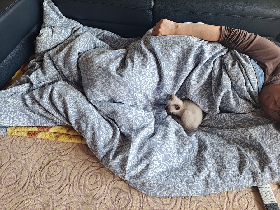 더 이상 볼 수 앖는 좋은 것 있는데 한번 볼 사람?_7.jpg