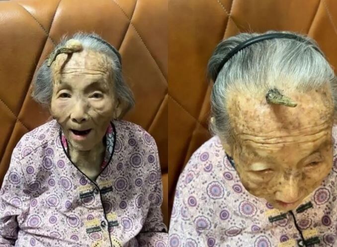 약혐]머리에뿔 난 사람들_14.jpg