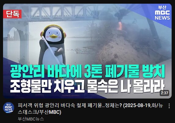펭수 뉴스에 나왔네_1.png