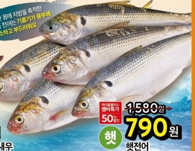 계절이 바뀌는 걸 느끼는 순간_4.png