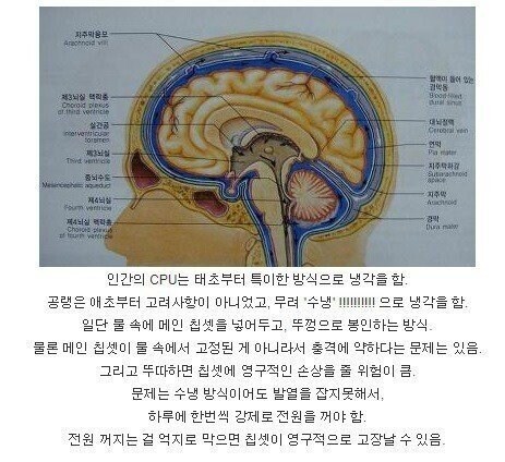 세계 최고 성능 컴퓨터의 CPU 냉각 방식_1.jpg