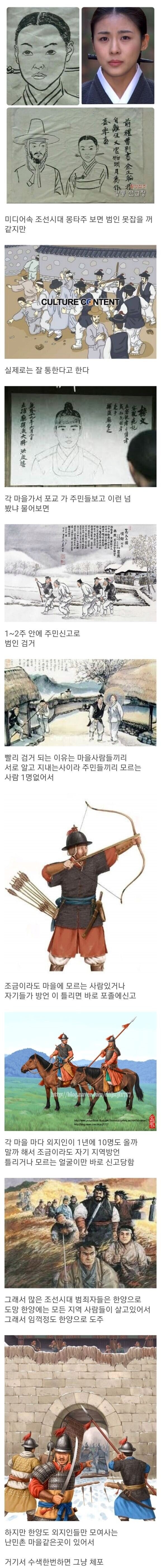 조선시대 검거율이 좋은 이유.jpg_1.png