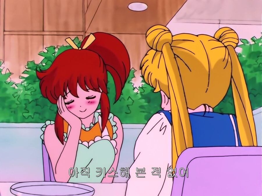지구 온난화를 지키는 세일러문_1.jpg