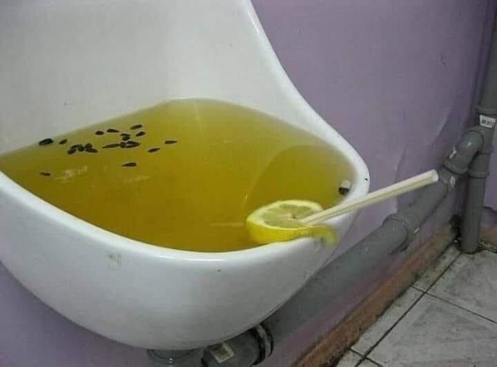 저주받은 이미지 10장_5.jpg