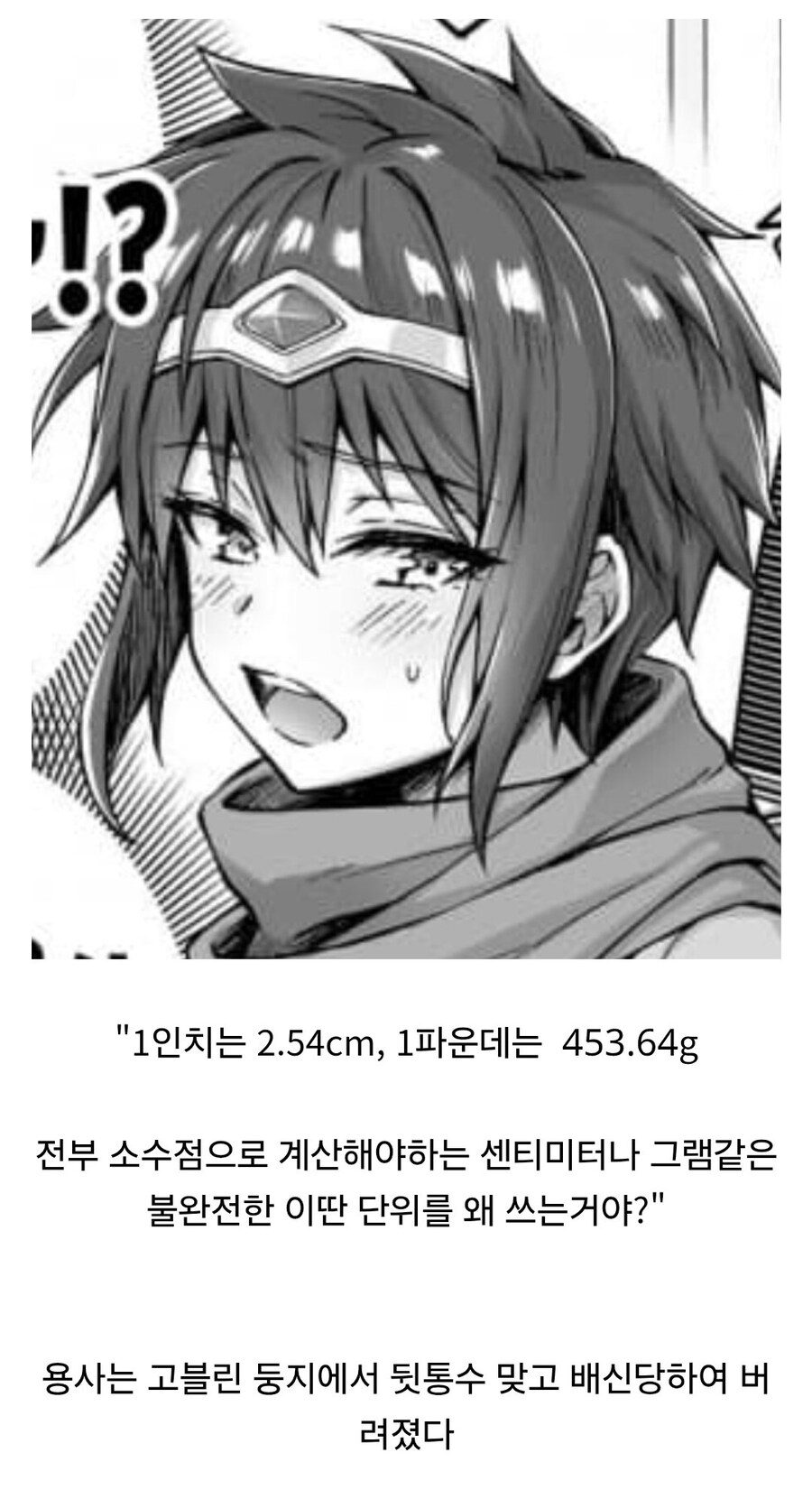 용사문학)불완전한 불편한 단위계에 저항하는 용사님.jpg_1.jpg