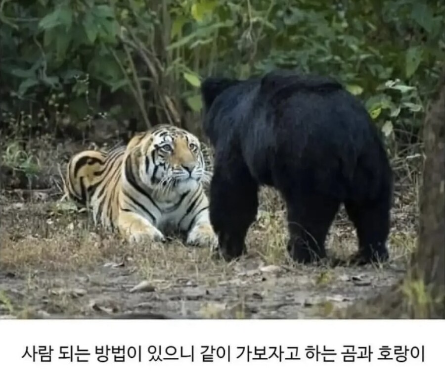 진짜 사람 될 수 있어?_1.jpg