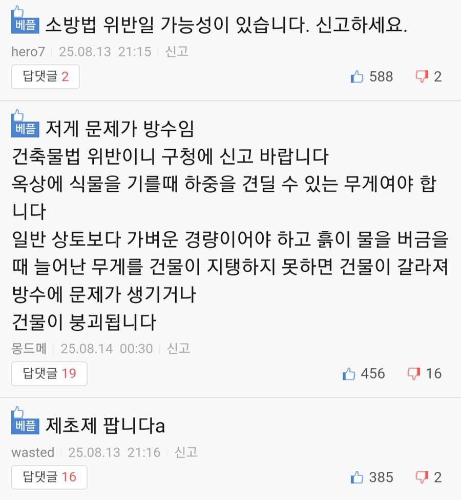 우리 빌라 식물 빌런.. 도와주세요.jpg_3.png