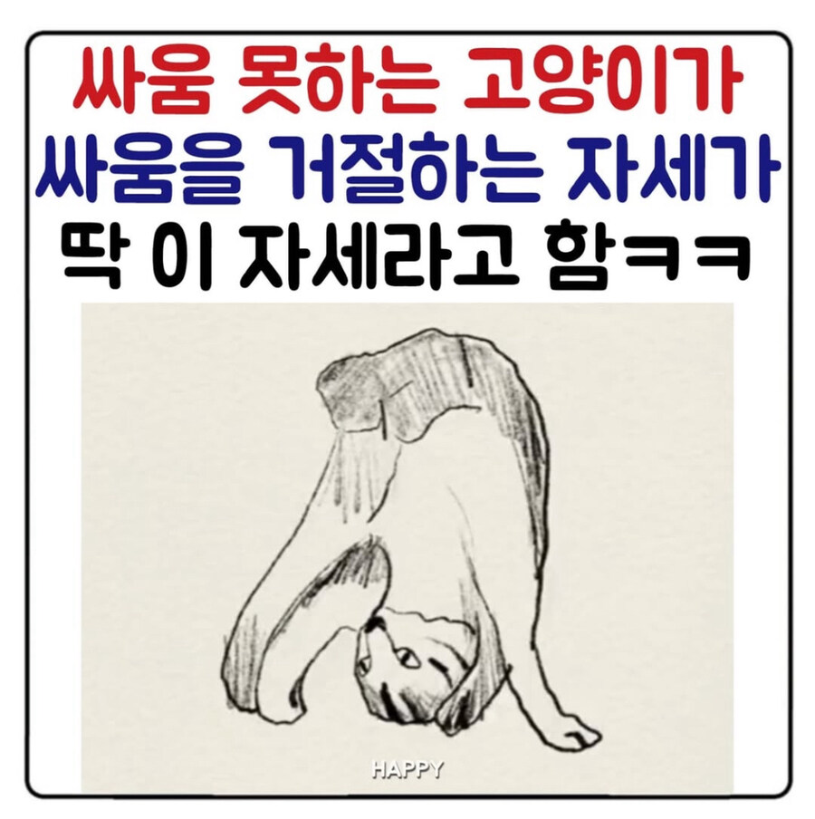 싸움 거절하는 고양이의 자세_1.jpg