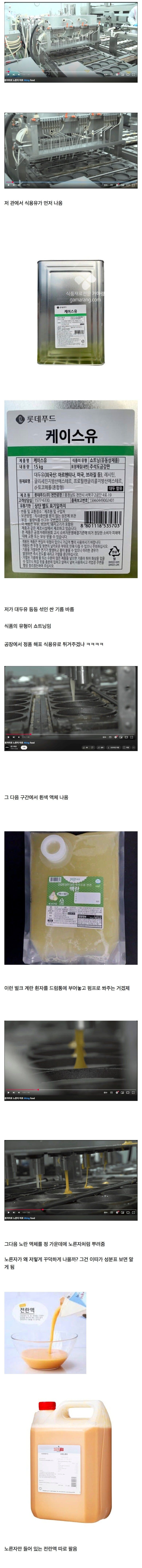 냉동 계란 후라이의 비밀_1.jpg