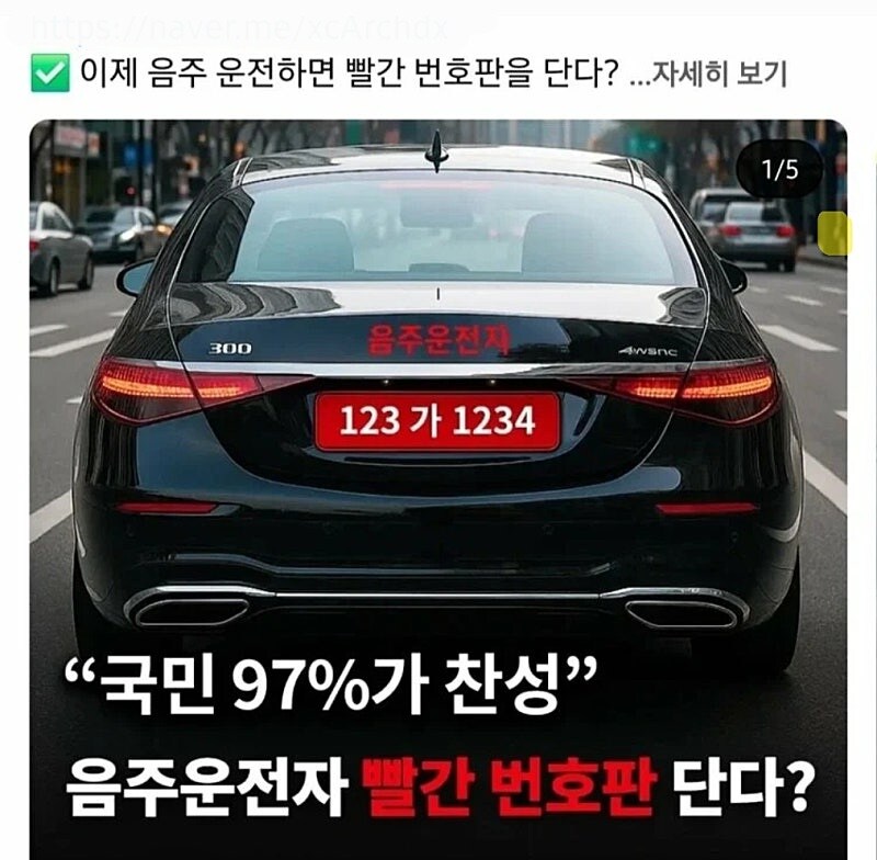 97% 찬성하는 빨간 번호판_1.jpg