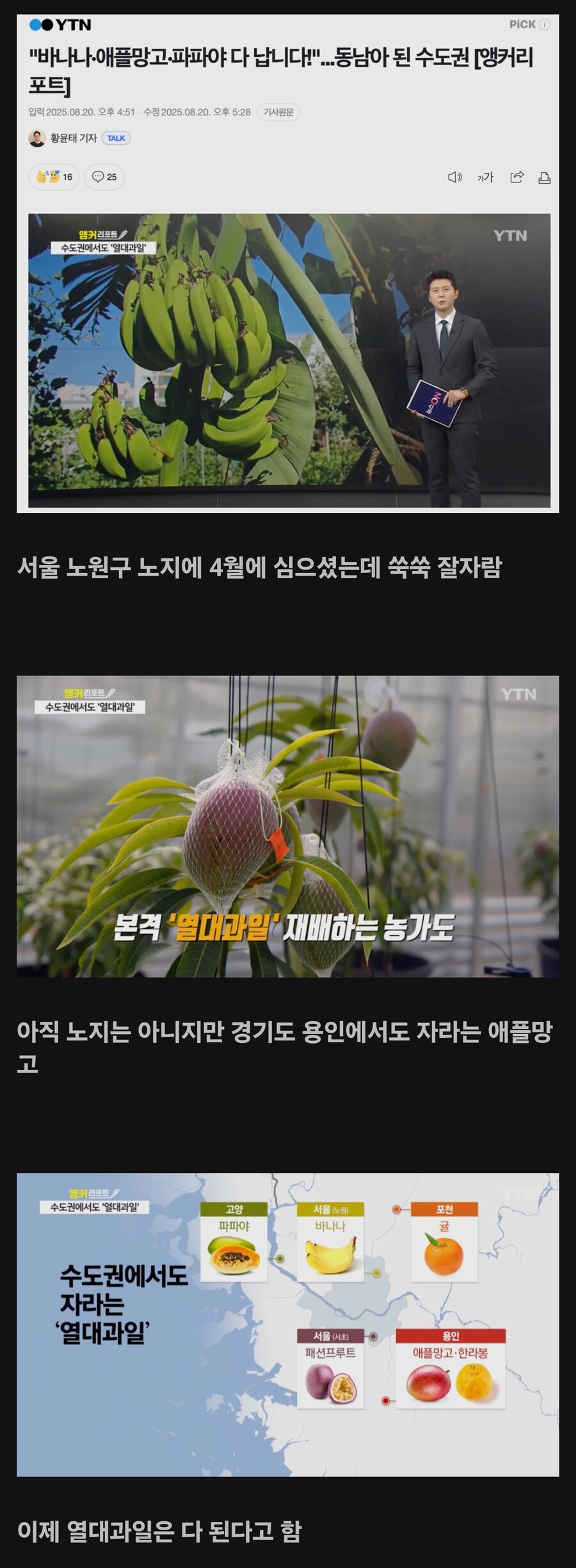 한국에서 자라는 열대과일들.jpg_1.jpg