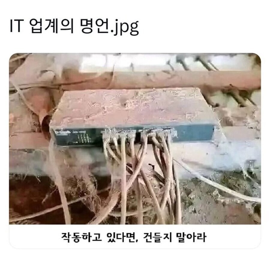 IT 업계 종사자라면 무조건 지킨다는 격언_1.jpg