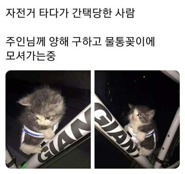 자전거 타다가 간택당한 사람_1.jpg