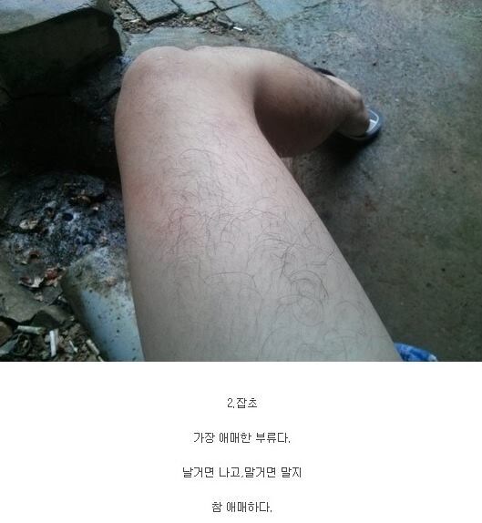 남성의 다리털 레벨.jpg_2.jpg