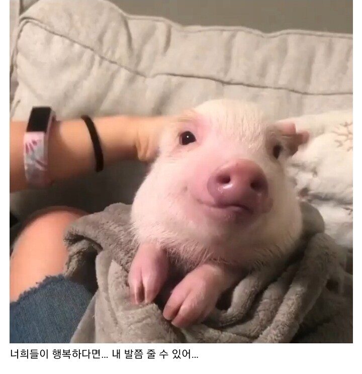 족발 좋아하는 사람들 들어와봐_1.jpg