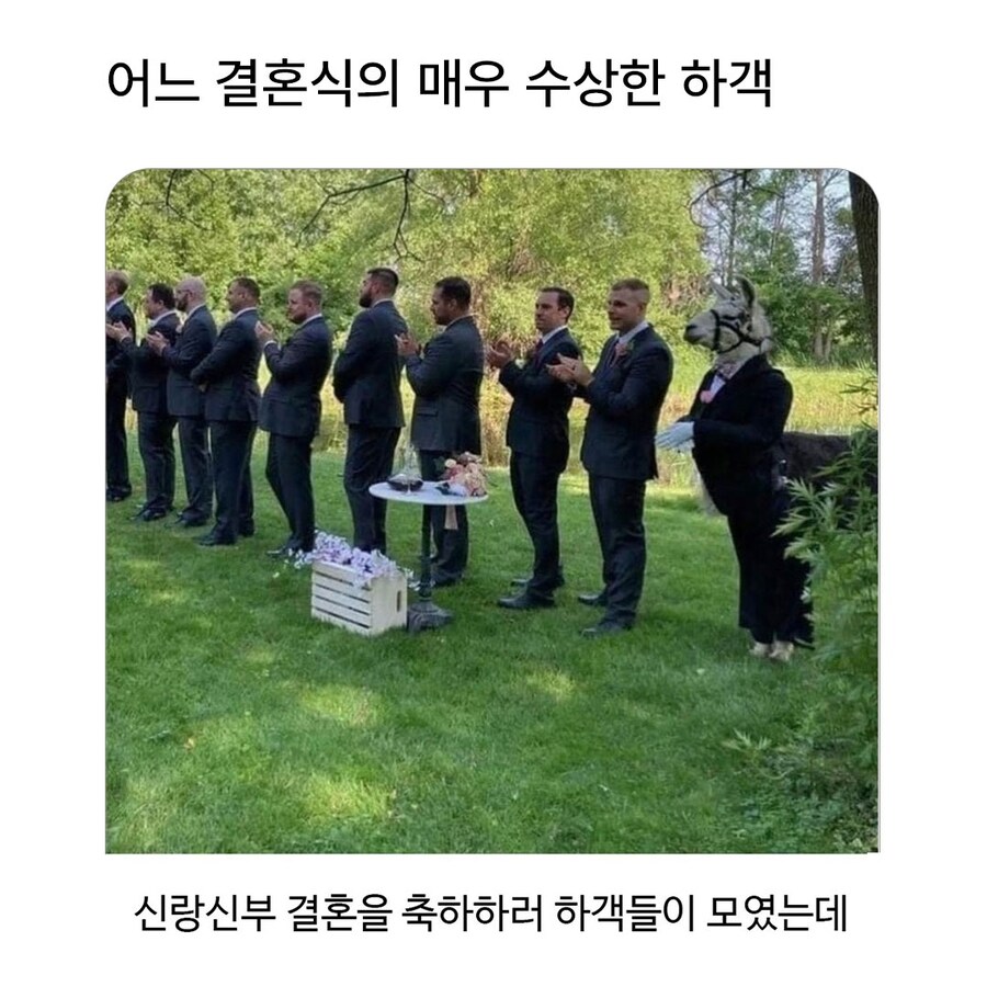 결혼식에 참석한 수상한 하객_1.jpg