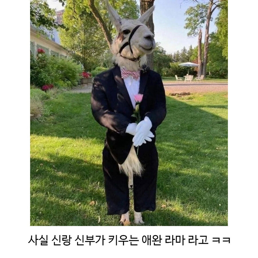 결혼식에 참석한 수상한 하객_3.jpg