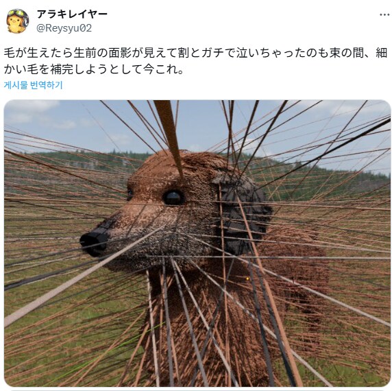 무지개 다리 건넌 애견을 되살리려는 사람.jpg_2.png