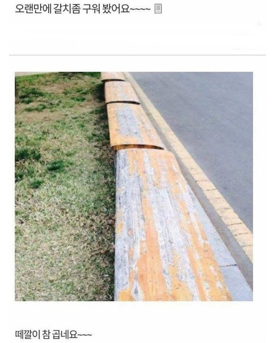 갈치구이.jpg_1.png