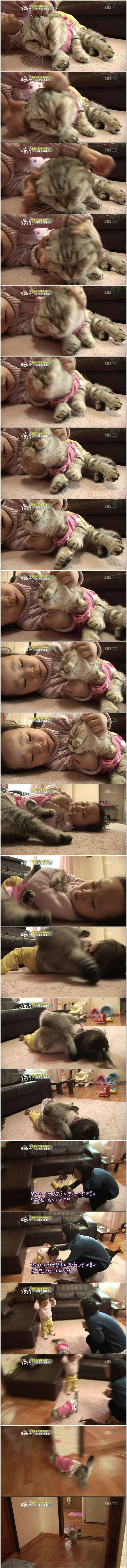고양이 이름이 엔젤인 이유_1.png