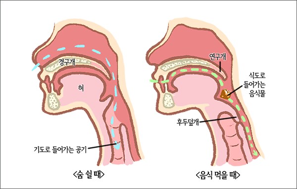 지적설계가 허구인 이유_1.png
