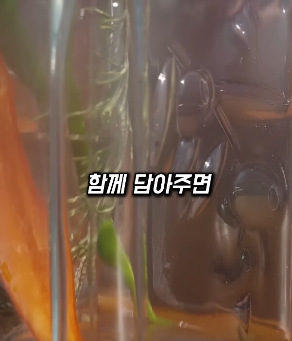 수제 올리브 오일이 특별한 이유.jpg_4.png