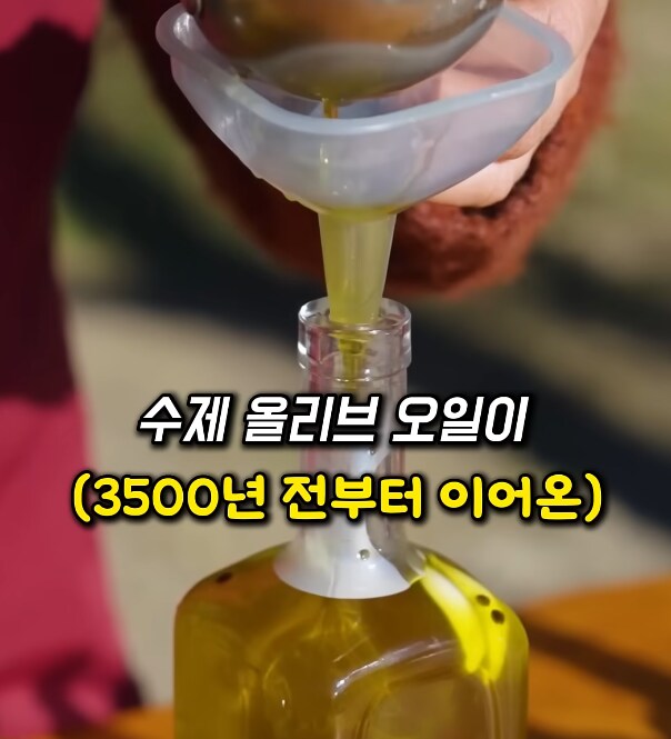 수제 올리브 오일이 특별한 이유.jpg_6.png