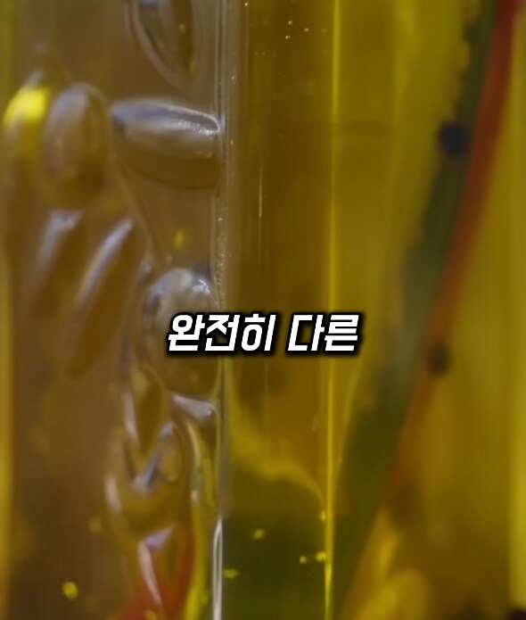 수제 올리브 오일이 특별한 이유.jpg_11.png