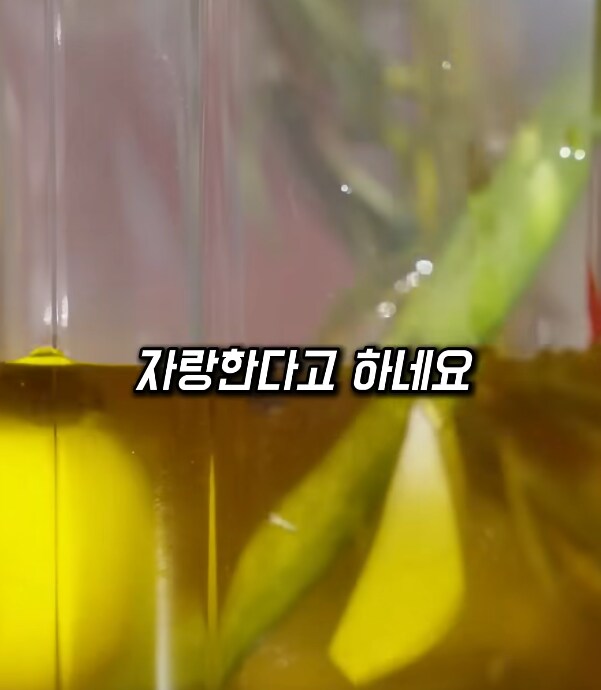 수제 올리브 오일이 특별한 이유.jpg_13.png