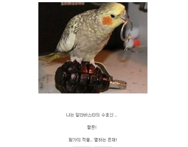 원피스 전성기 시절의 명장면_7.jpg