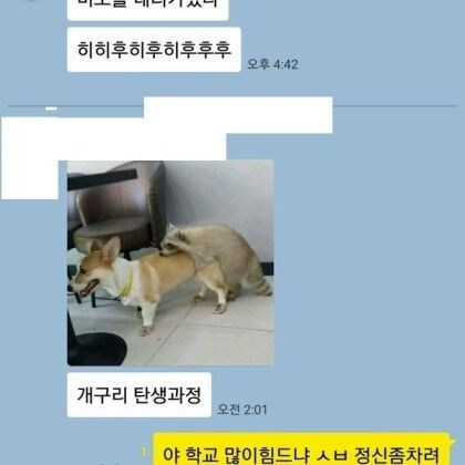 개구리 탄생과정.jpg_1.jpg