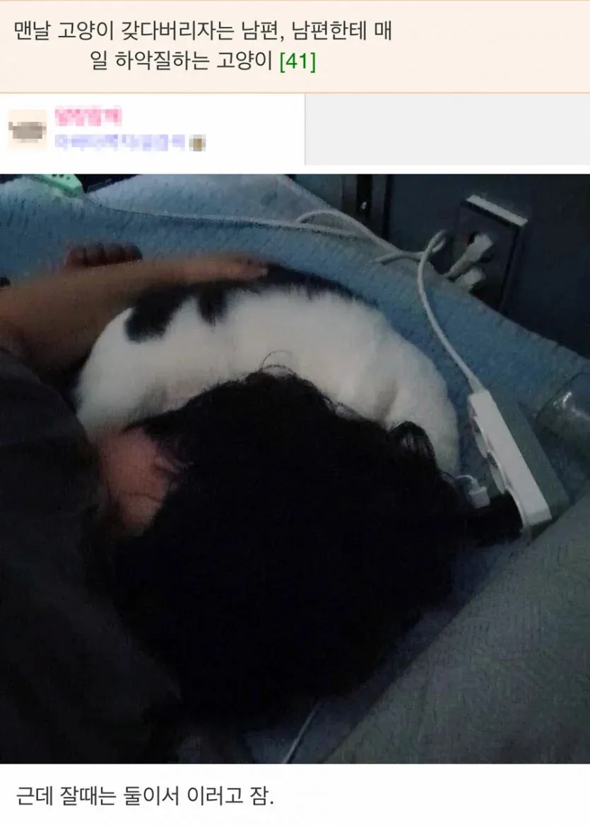 남편이랑 주인님이 맨날 싸움_1.webp