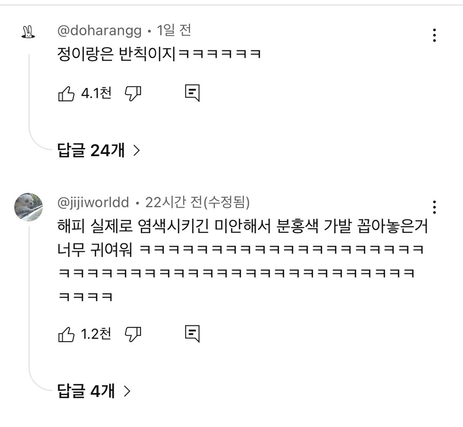 선넘었다는 이수지의 유투브_16.jpg
