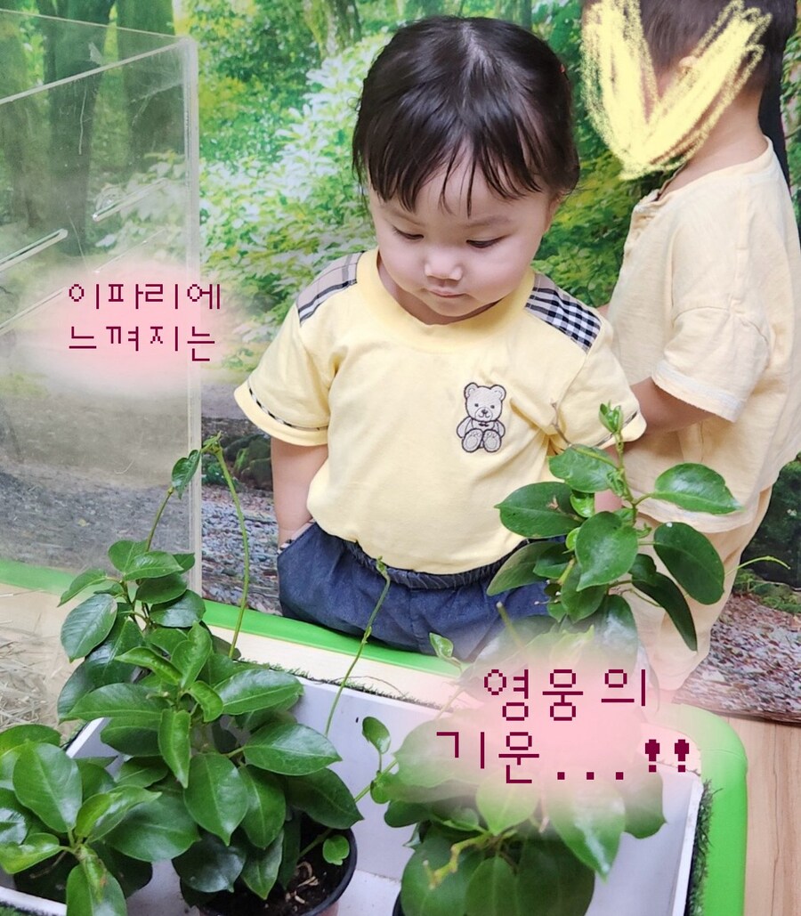 포스가 느껴지는 어느 조카분_2.jpg