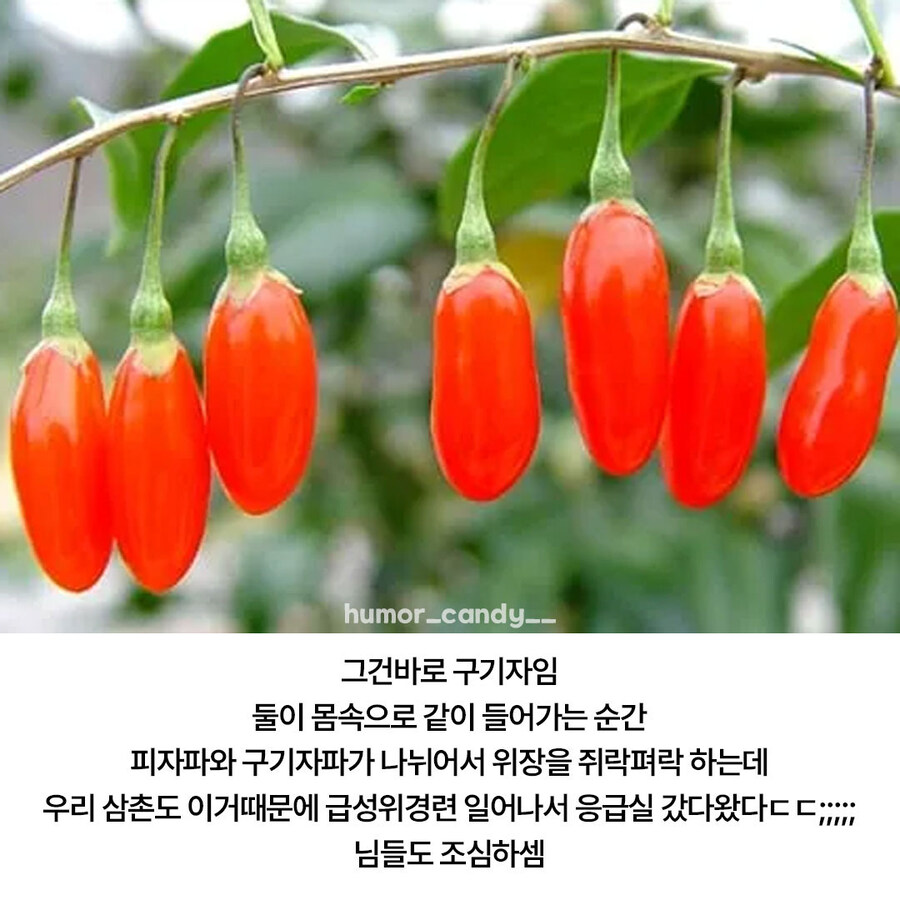 의외로 피자랑 절대 같이 먹으면 안되는 음식.jpg_2.jpg