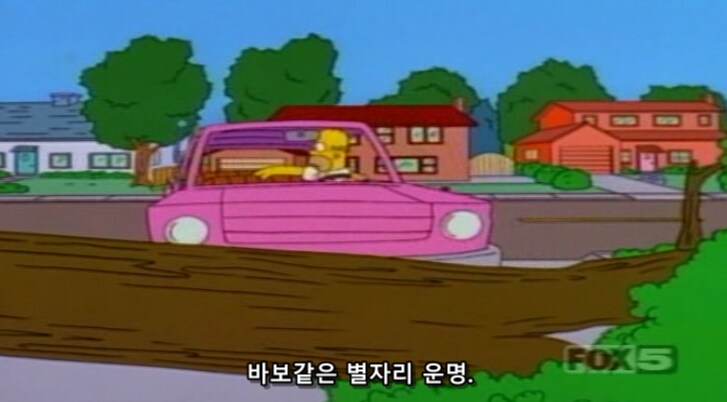 서양인들이 브로콜리를 무서워 하는 이유_10.png