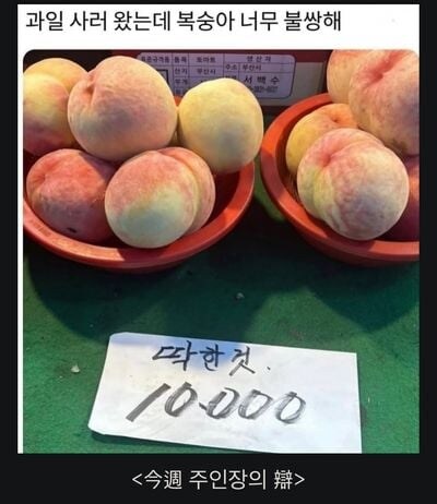 세상에서 가장 불쌍한 과일은?_1.jpg