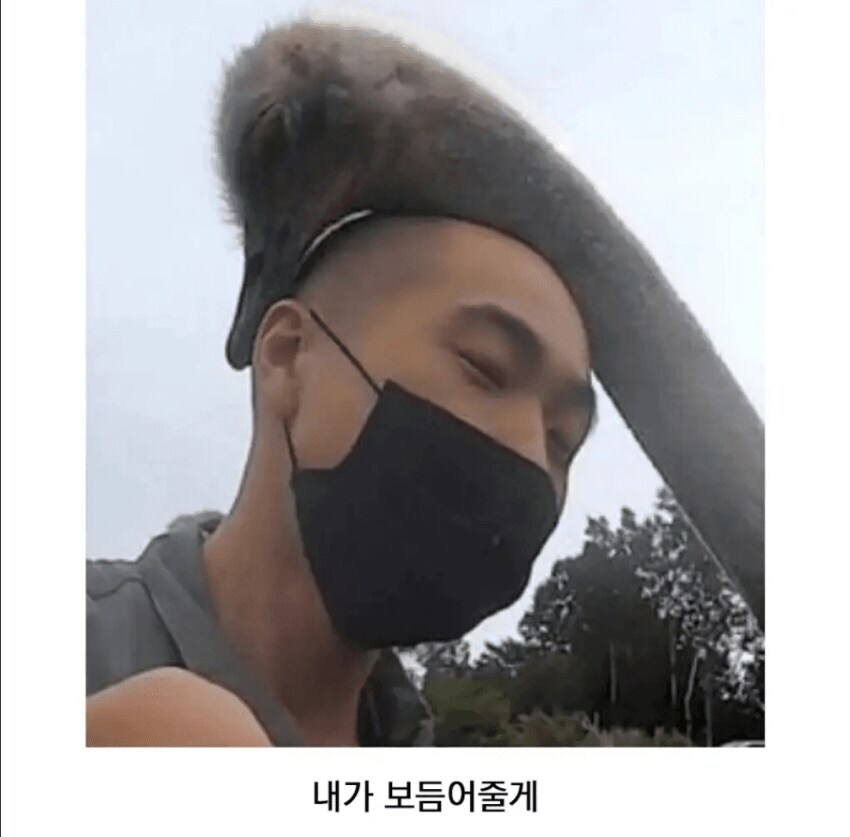 타조의 잘 알려지지 않은 습성_2.jpg