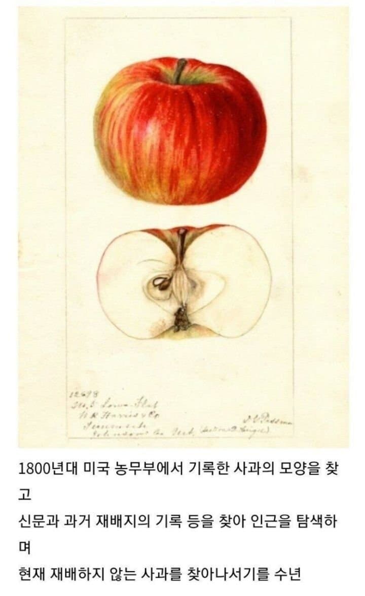 FBI 요원이 은퇴하고 하는 일_2.jpg