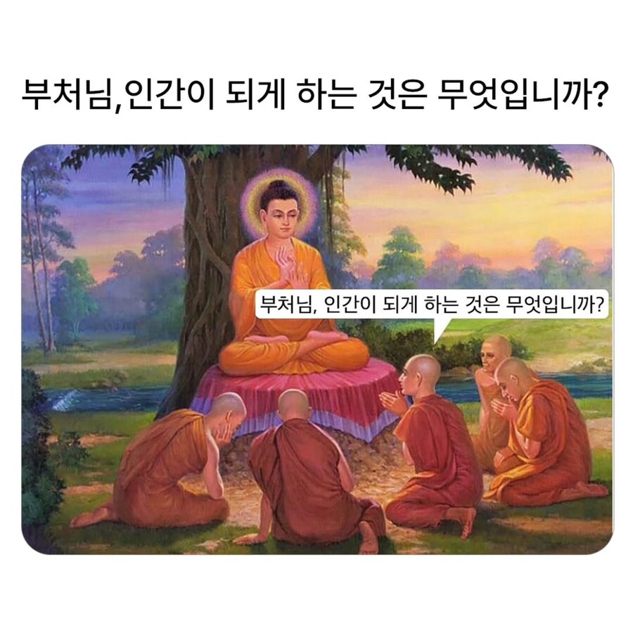부처님 인간이되게 하는것은 무엇입니까_1.jpg