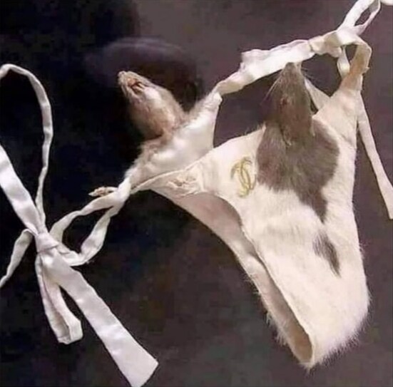 따끈한 티팬티_1.jpg