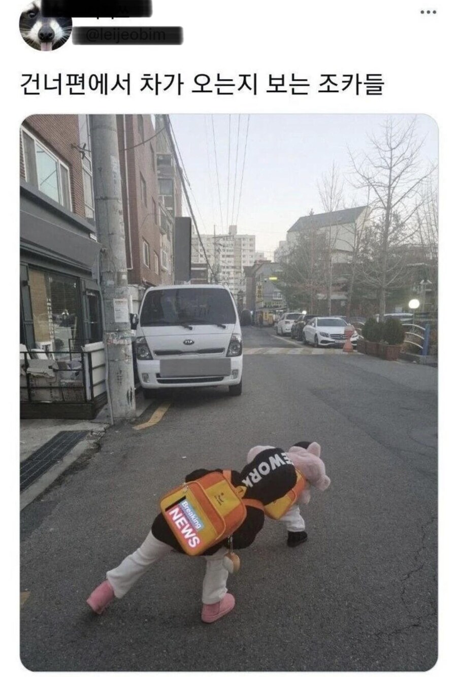 이전다음목록 차 오는지 살피는 조카들_1.jpg