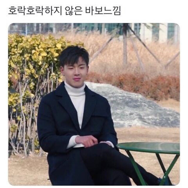 호락호락하지 않은 바보.jpg_1.jpg
