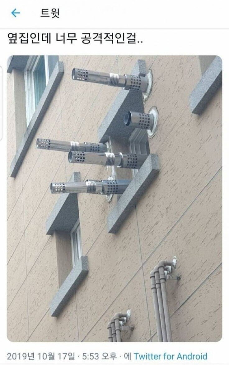 옆집이 너무 공격적이다_1.jpg