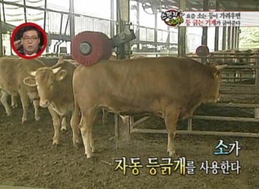 트릭컬) 사도들이 쓰다듬 받는걸 좋아하는 이유_3.jpg