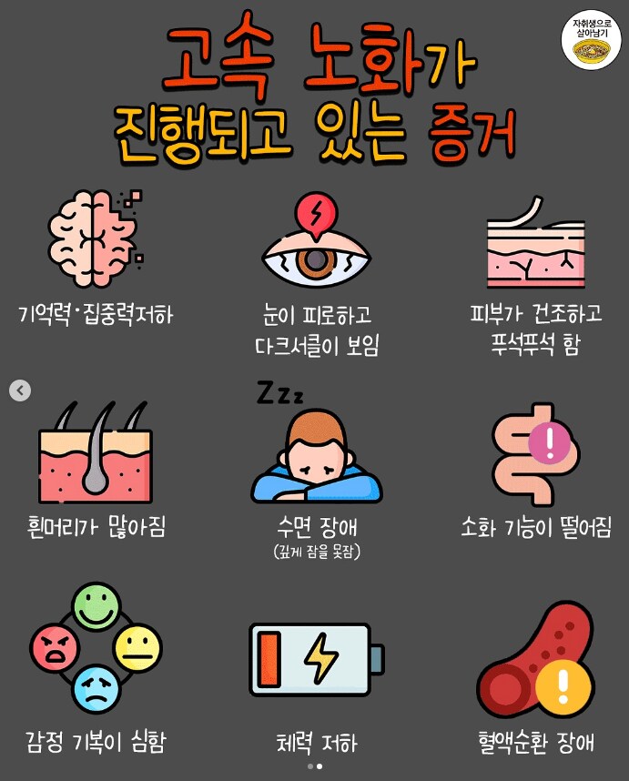 고속노화의 산물.jpg_1.png