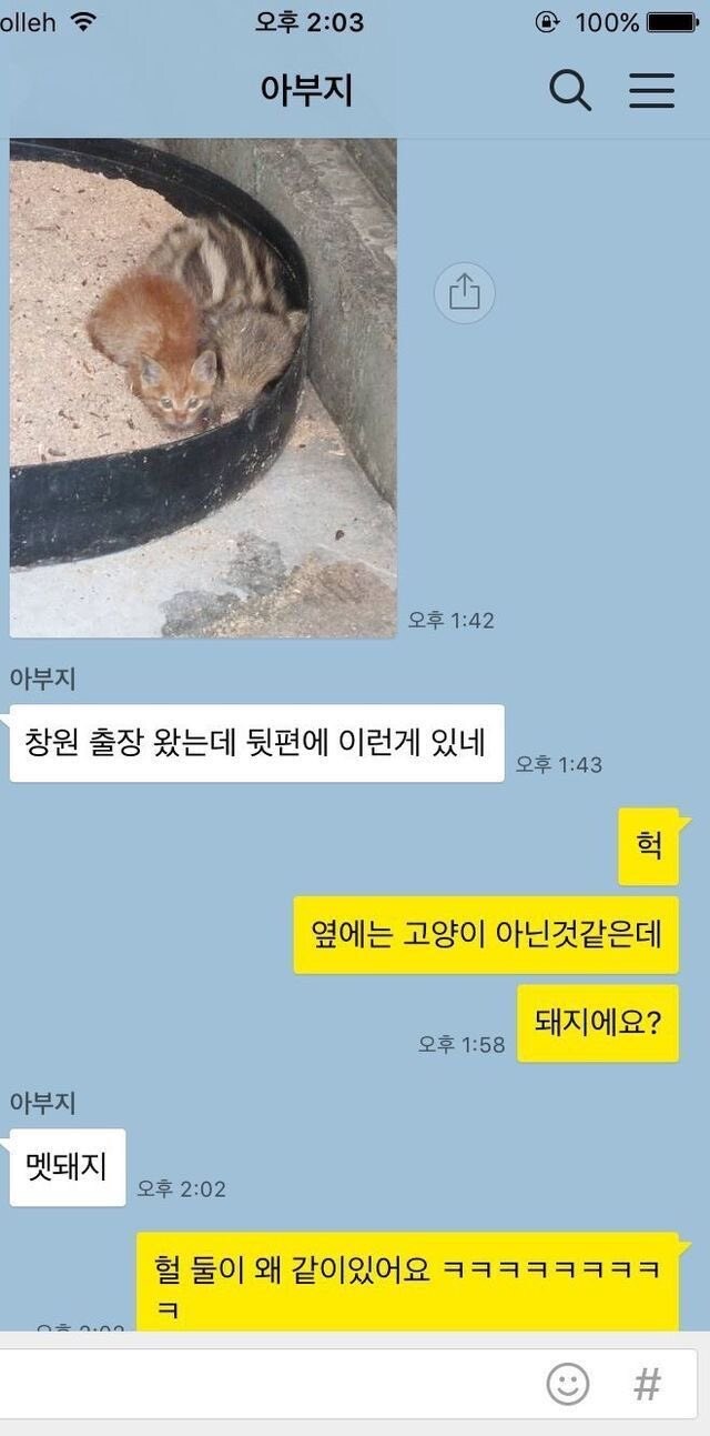 왜 둘이 같이 있어요_1.jpg