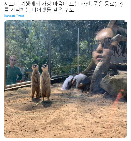 죽은 동료를 기억하는 짤_1.jpg