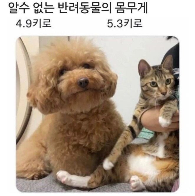 반려동물의 신비_1.jpg
